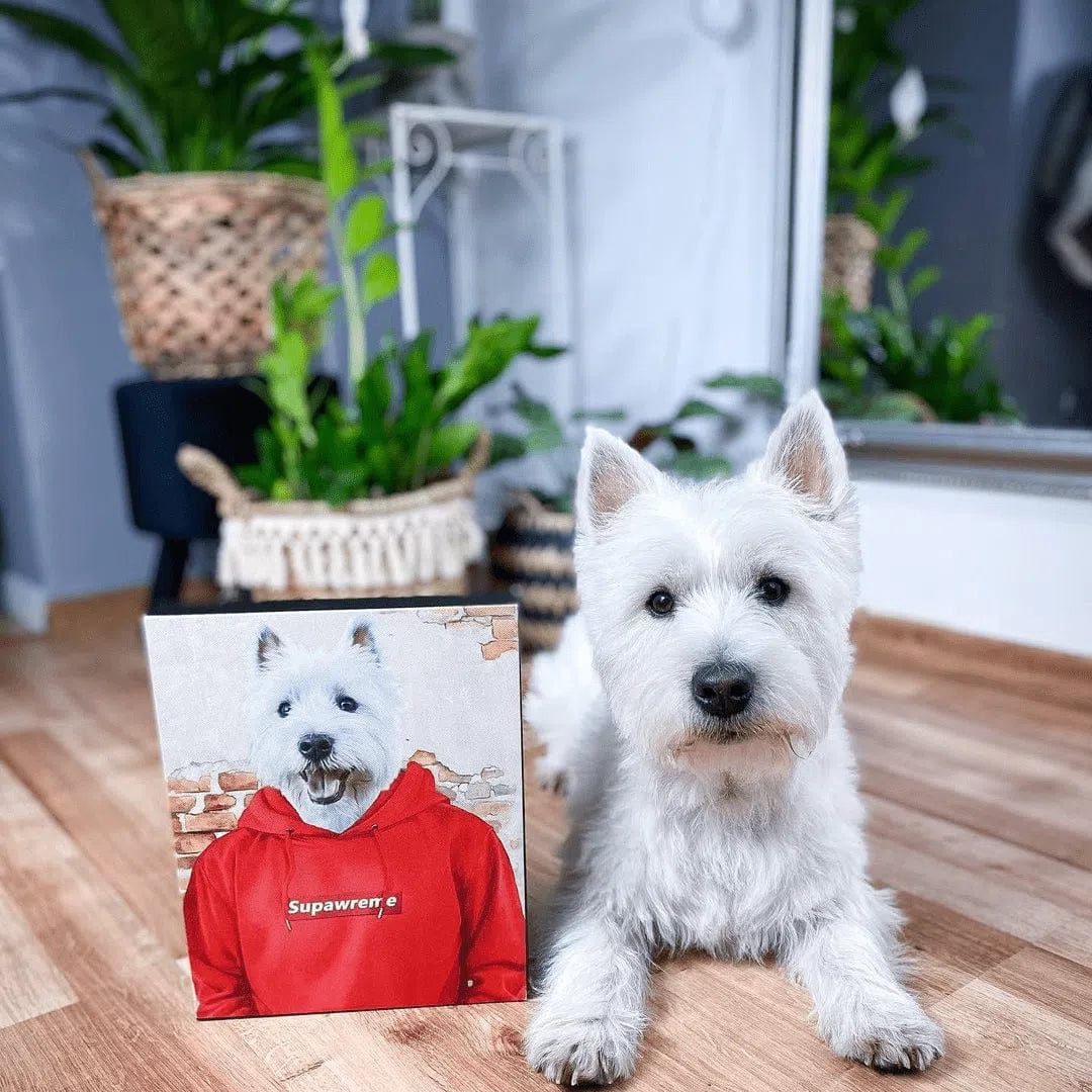 The Hypebeast - Custom Pet Canvas