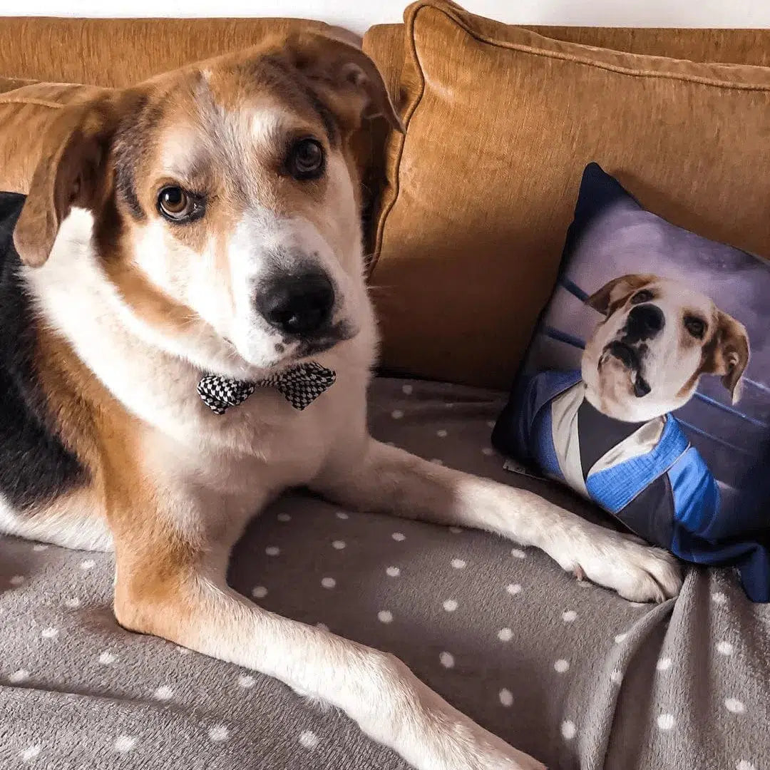 The Boxer - Custom Throw Pillow