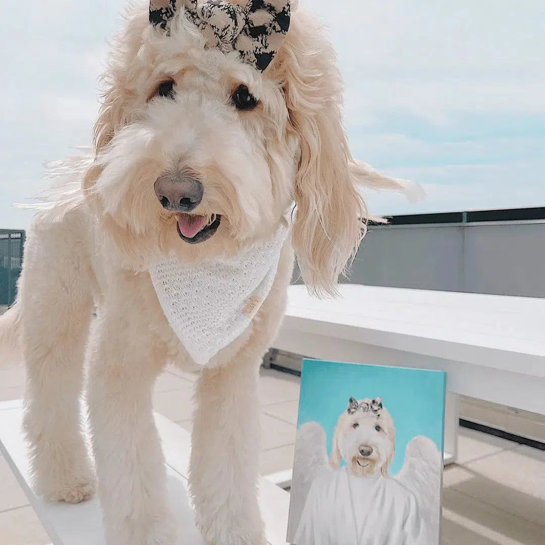 The Angel - Custom Pet Canvas