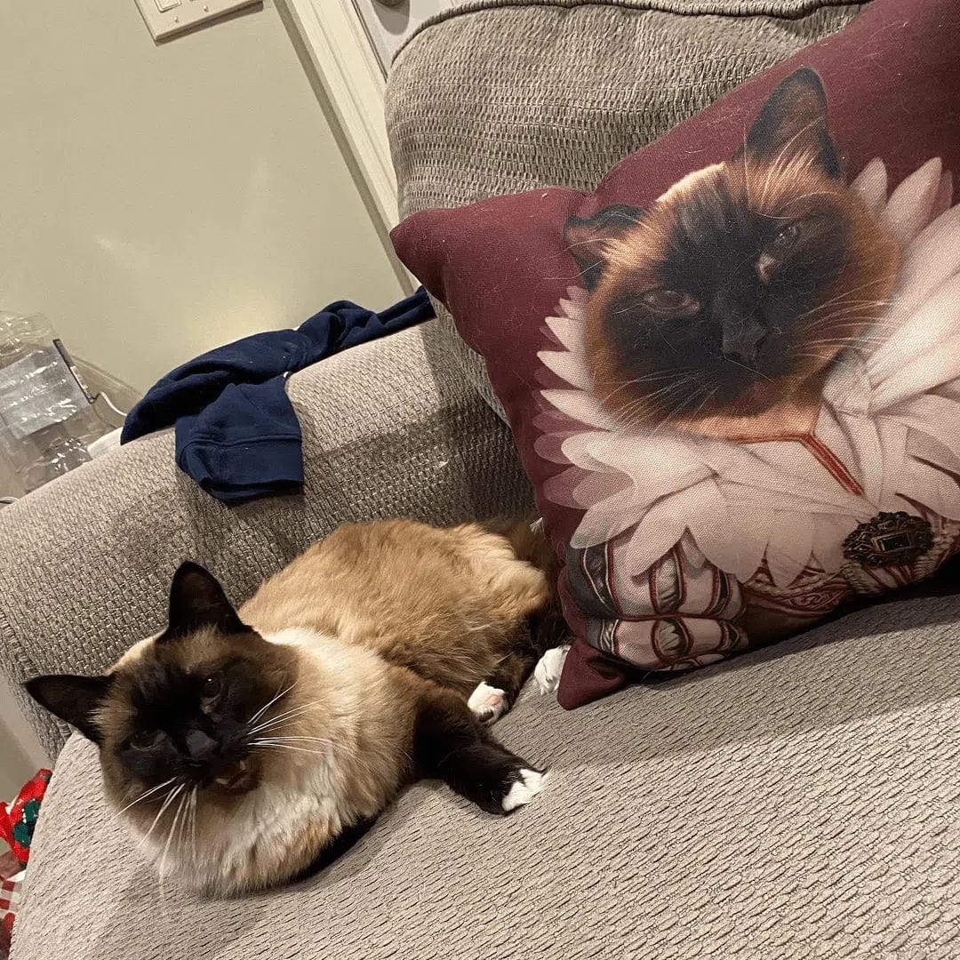 The Queen - Custom Throw Pillow