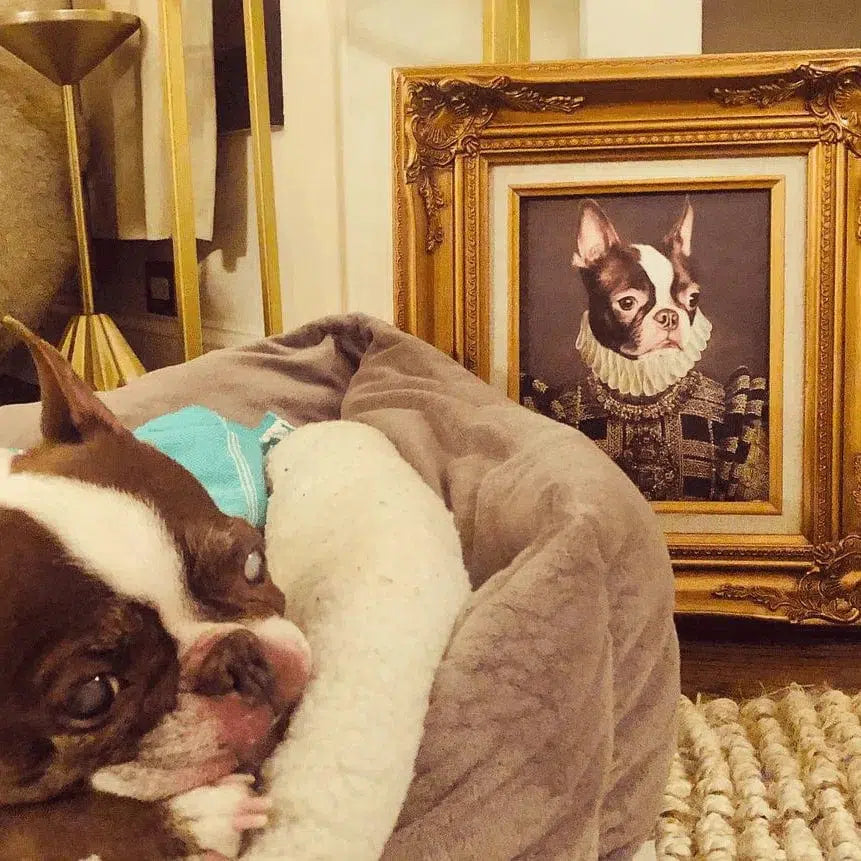 The Dame - Custom Pet Poster
