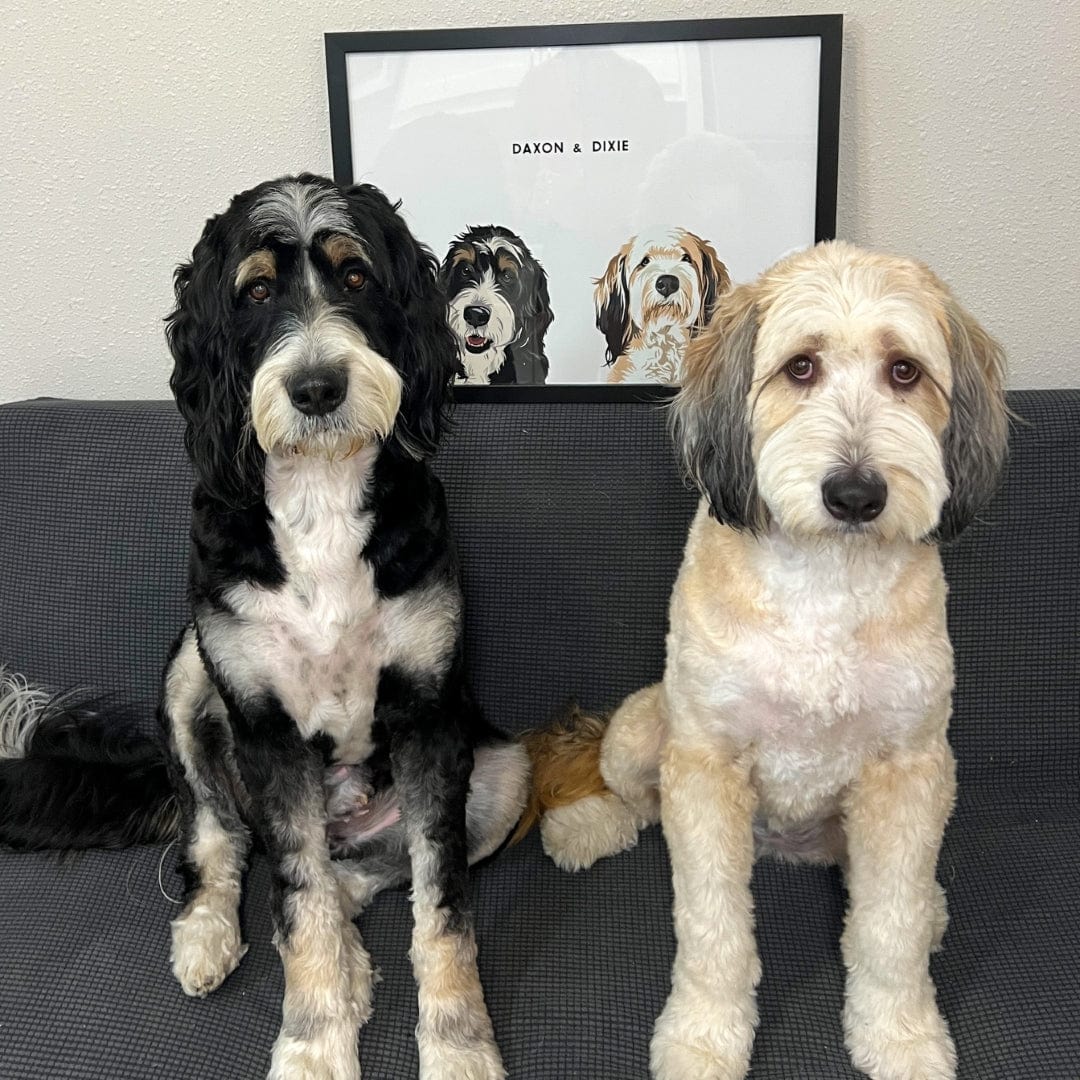 Modern Pet Portrait - Two Pets