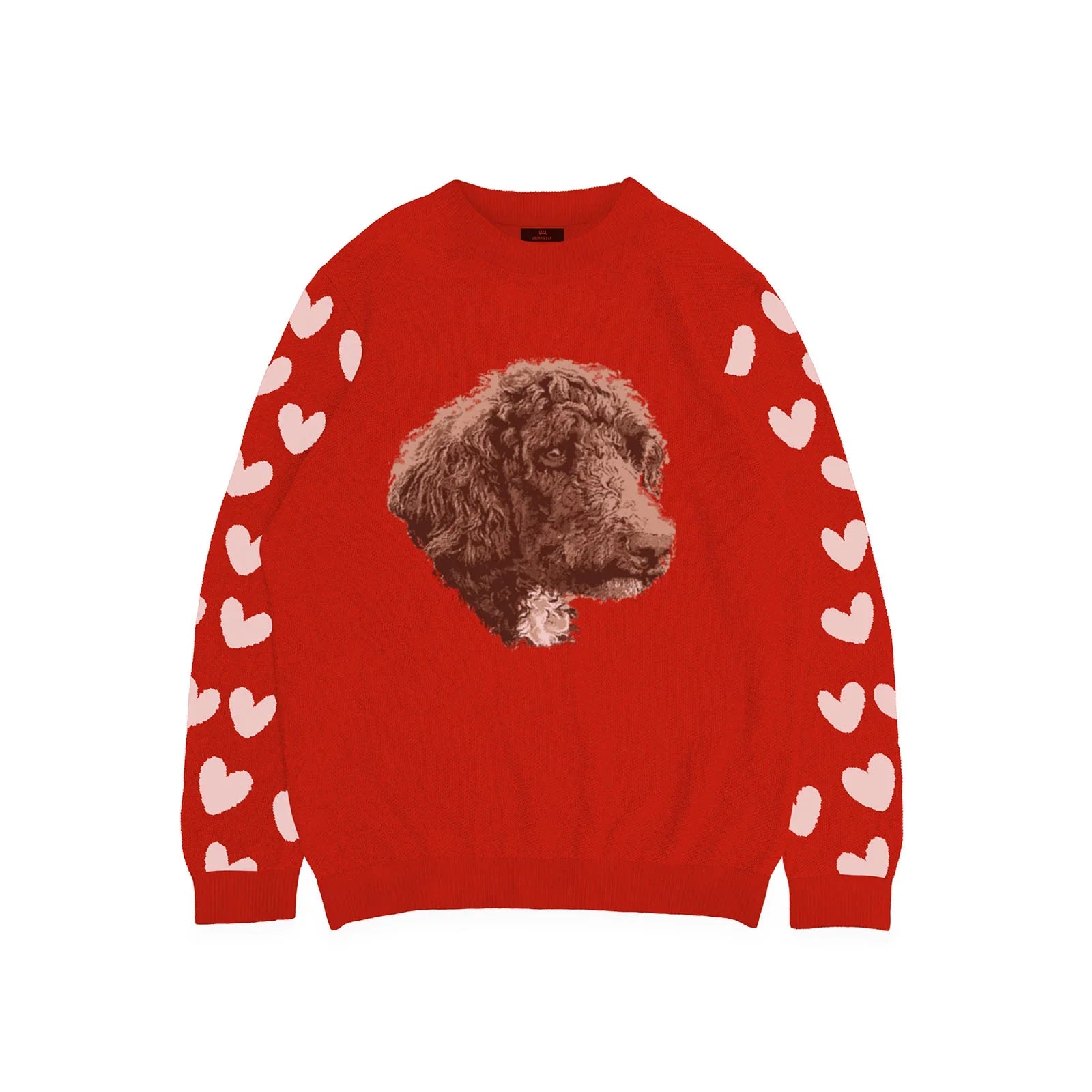 Custom Knitted Pet Face Sweater with Heart Sleeves