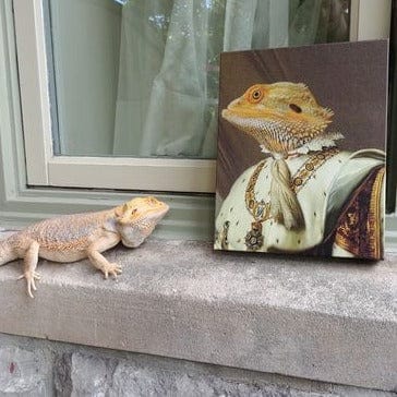 The Emperor - Custom Pet Canvas