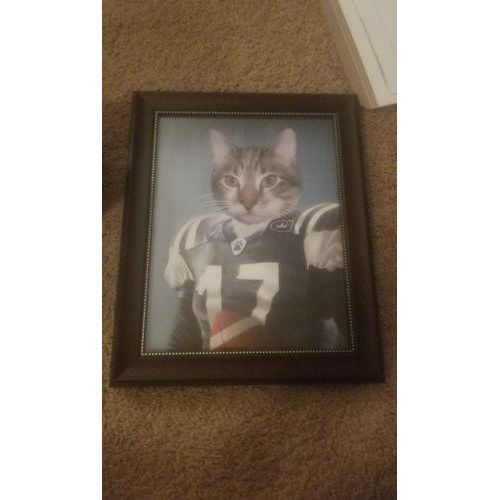 The Football Player - Custom Pet Poster