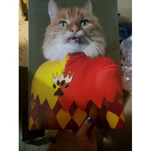 The Jester - Custom Pet Canvas