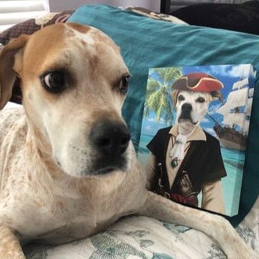 The Buccaneer - Custom Pet Canvas
