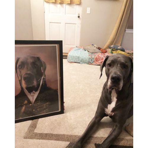 The General - Custom Pet Poster