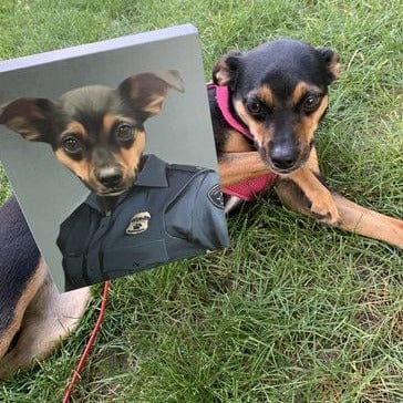 Police Officer (Female) - Custom Pet Canvas