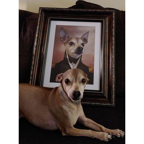The General - Custom Pet Poster