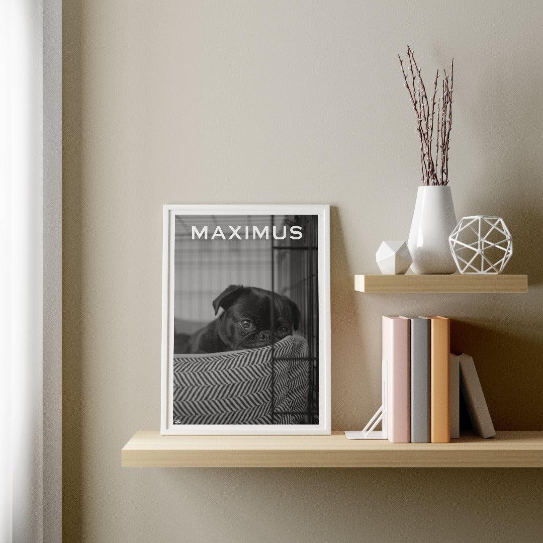 "Crown and Paw - Canvas The Designer Brand Pet Portrait - Custom Pet Print Canvas 8"" x 10"" / Givenchewy / Unframed"