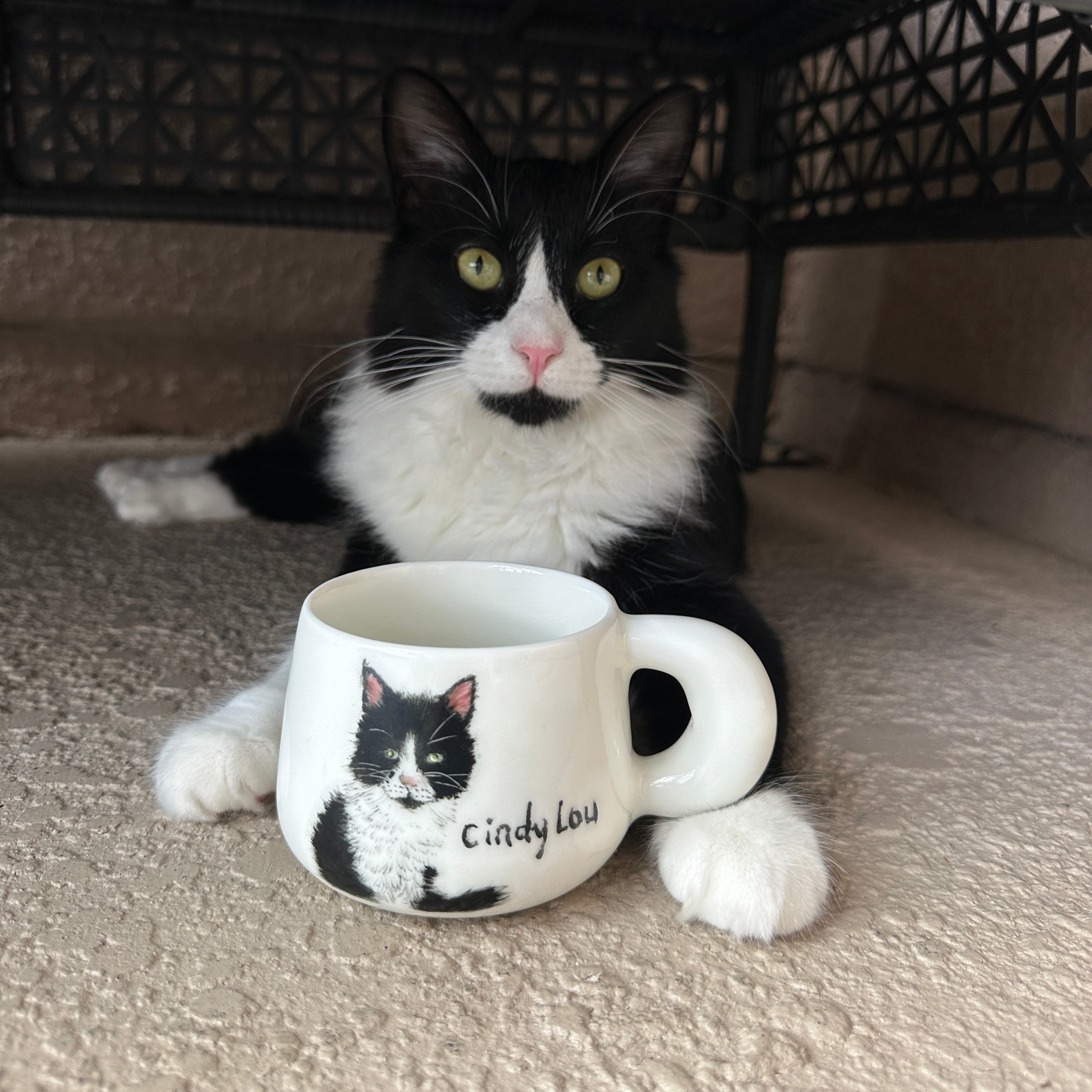 Custom Hand Painted Pet Portrait Ceramic Mug