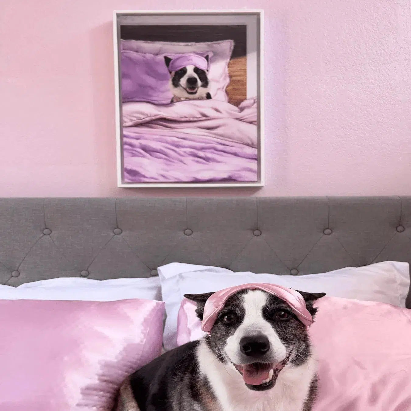 Custom Sleeping Pet Portrait - Framed Poster