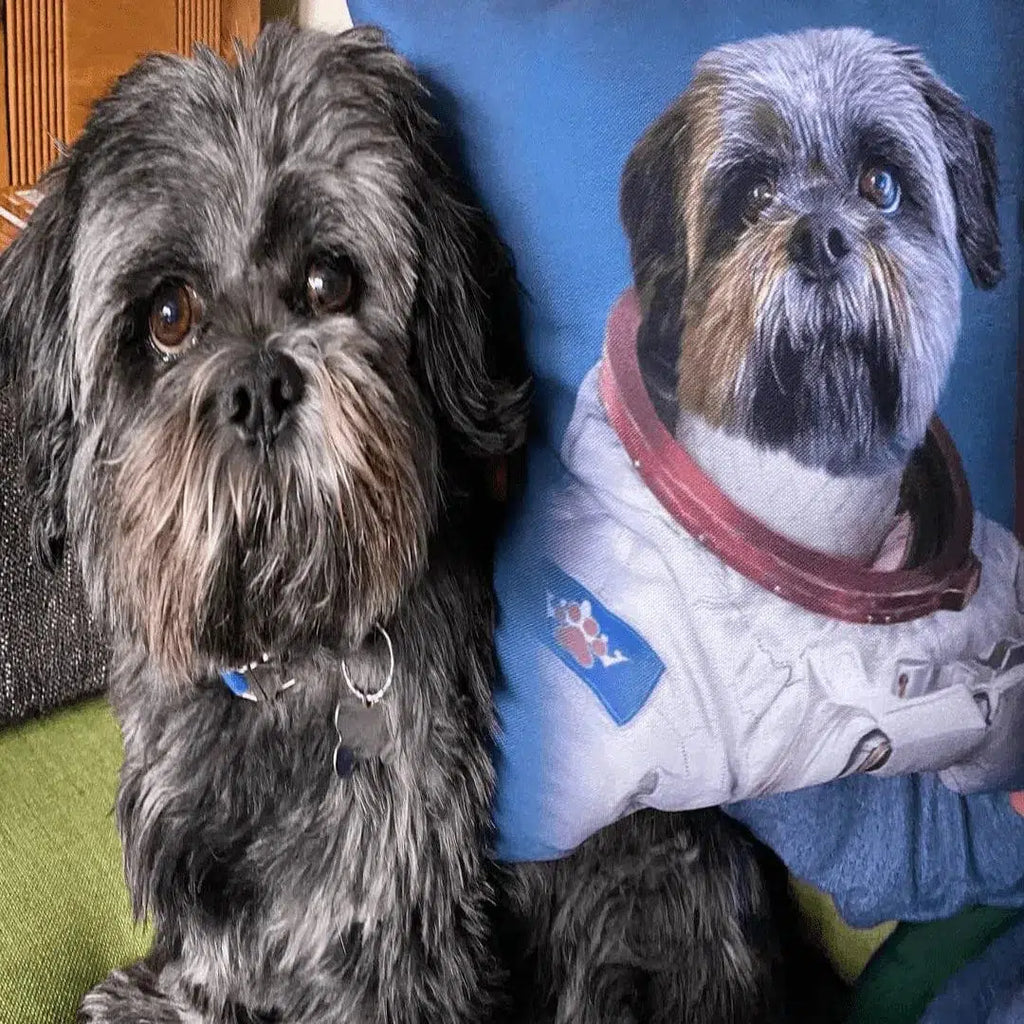 The Astronaut - Custom Throw Pillow