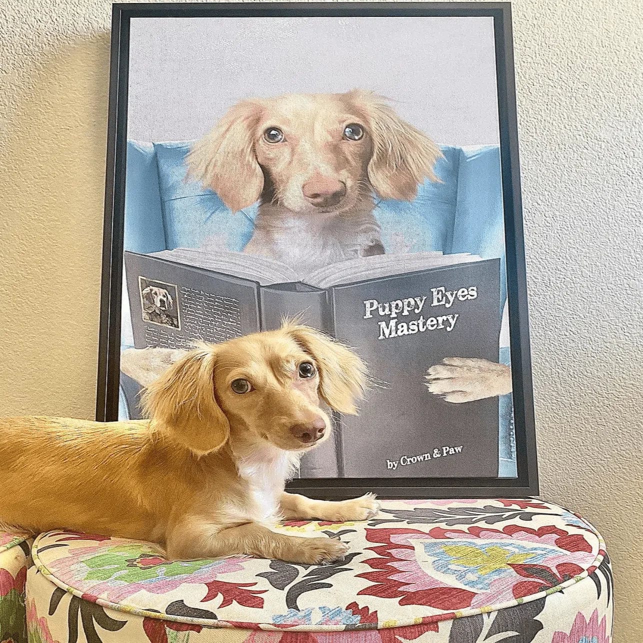 Custom Pet Reading a Book Portrait - Framed Poster