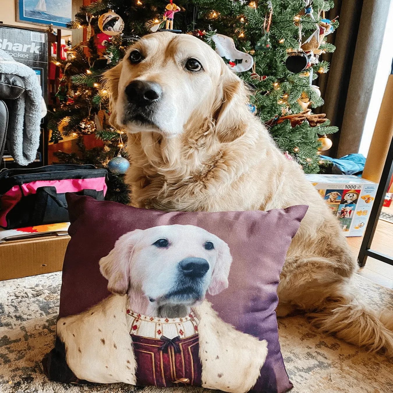 The Young King - Custom Throw Pillow