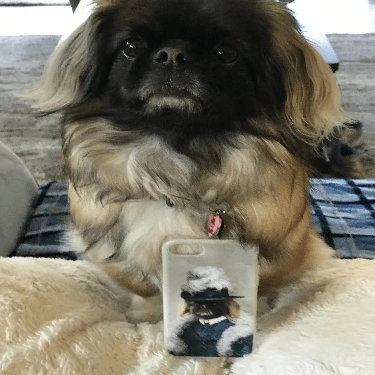 The Boa Lady - Custom Pet Phone Case