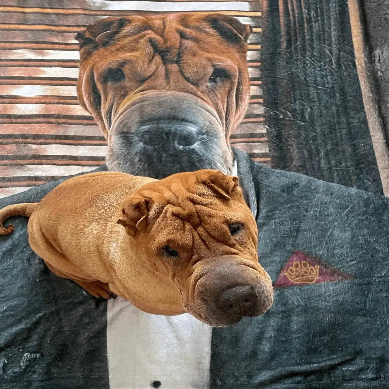 The Mobster - Custom Pet Blanket