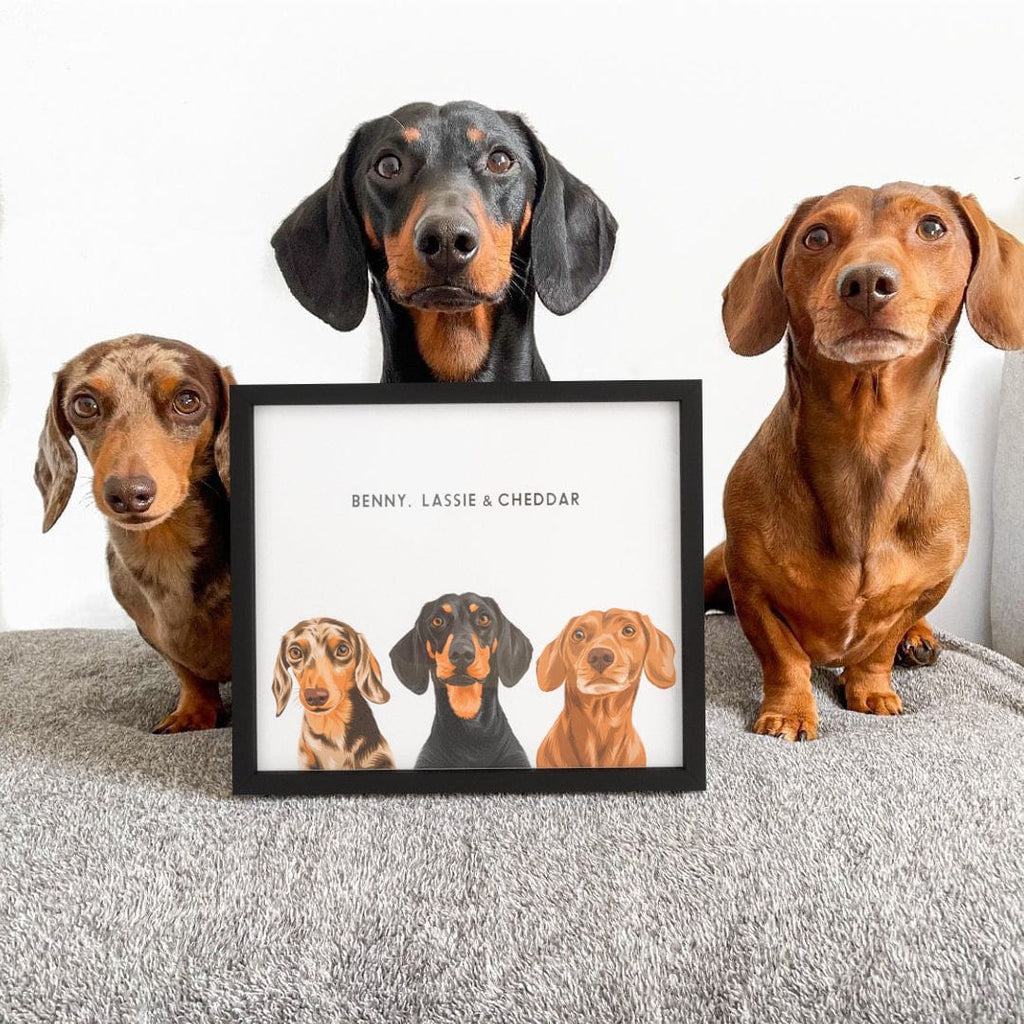Modern Pet Portrait - Three Pets