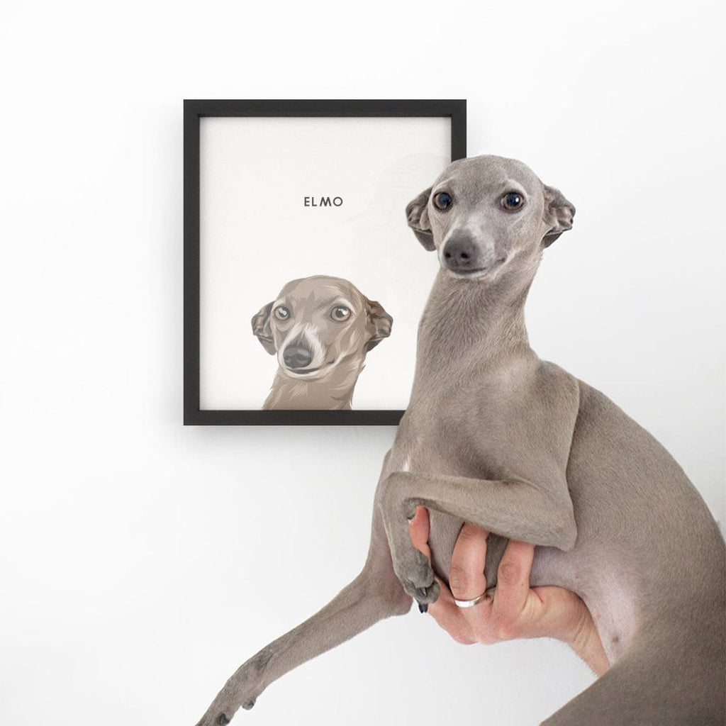 Modern Pet Portrait - One Pet