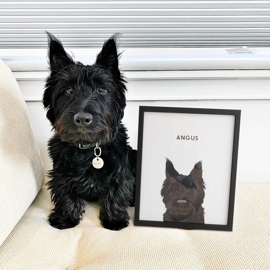 Modern Pet Portrait - One Pet