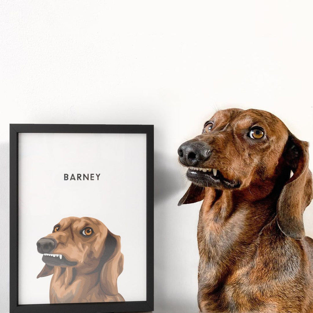 Modern Pet Portrait - One Pet