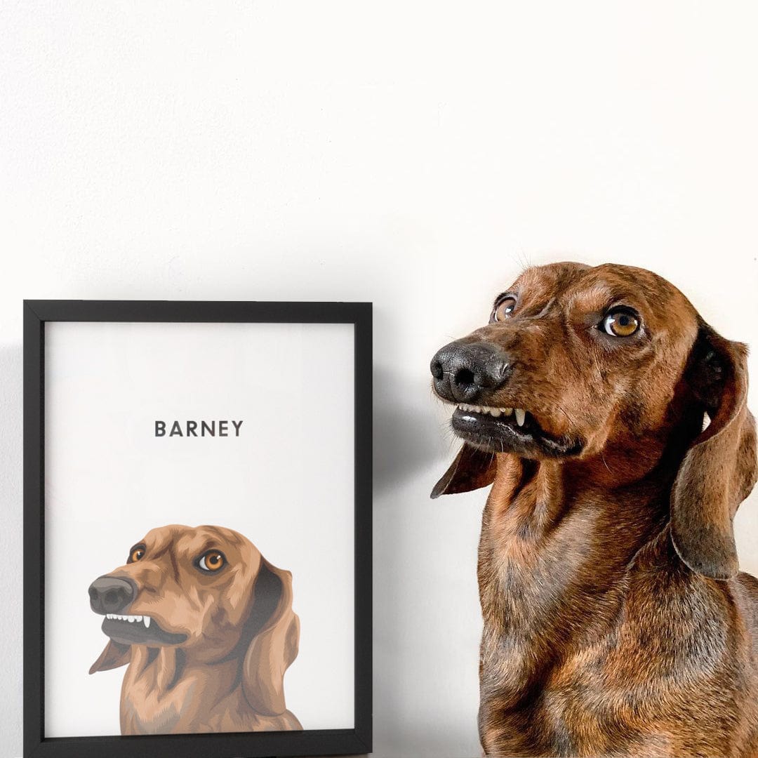 Modern Pet Portrait - One Pet
