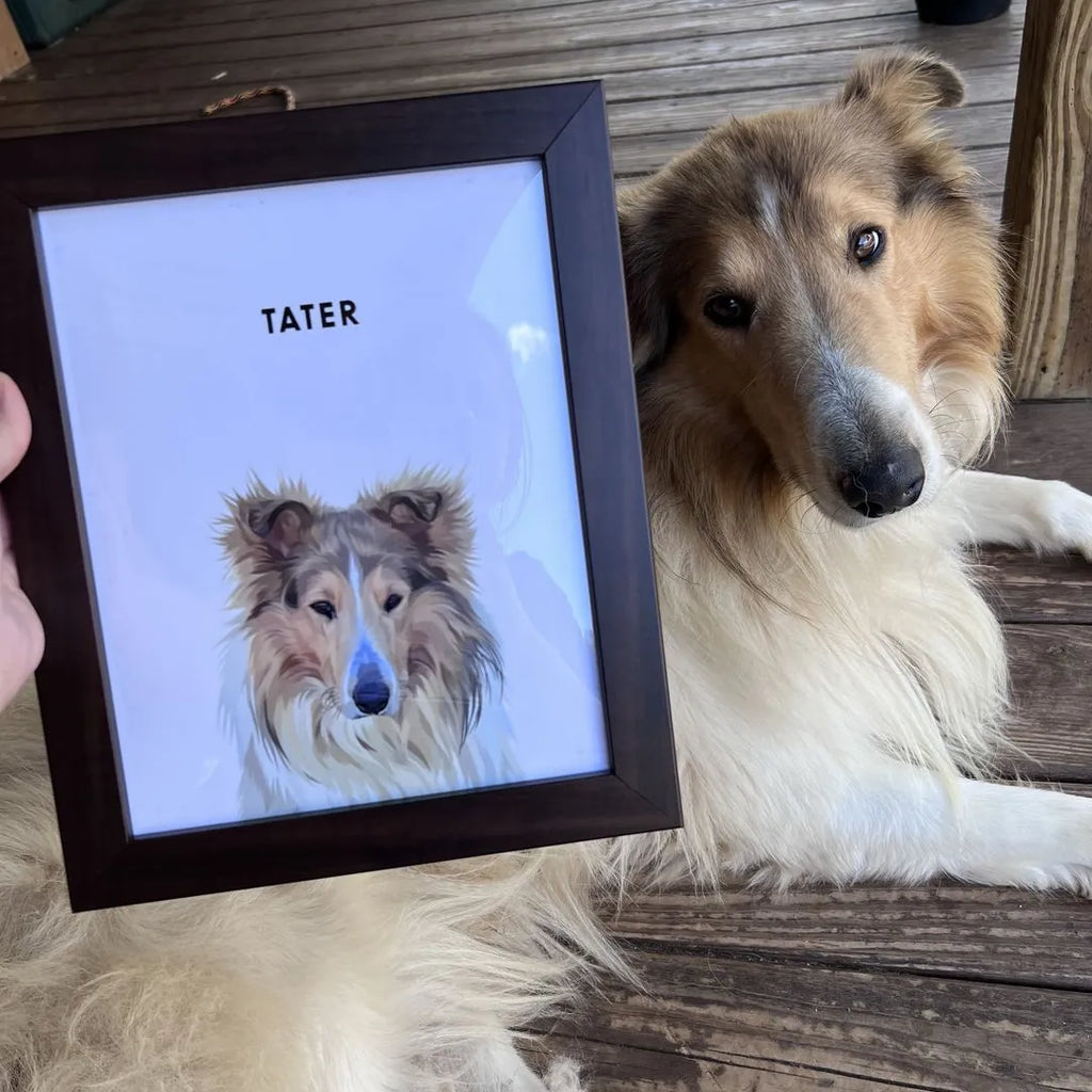 Modern Pet Portrait - One Pet