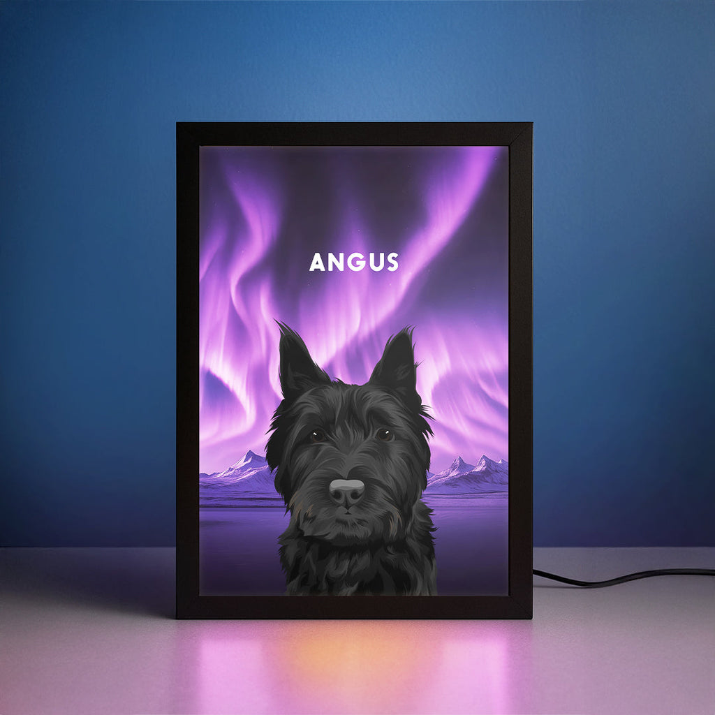 Night Light LED Pet Portrait - One Pet