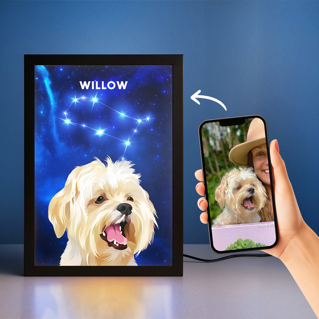 Constellation Pet Portrait LED Night Light