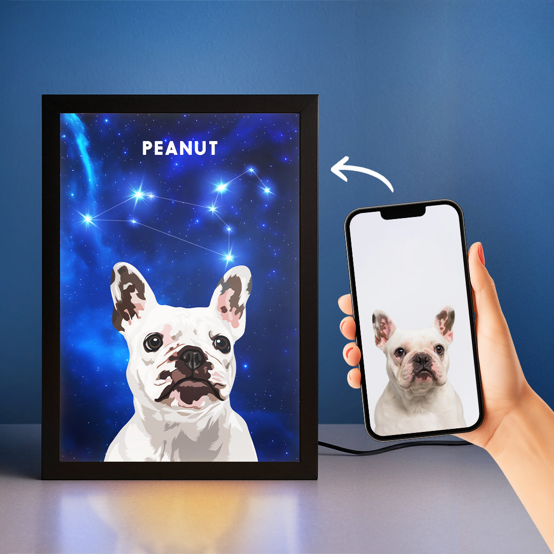Constellation Pet Portrait LED Night Light