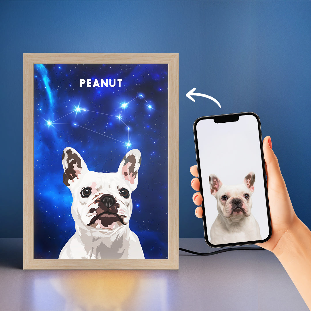 Constellation Pet Portrait LED Night Light