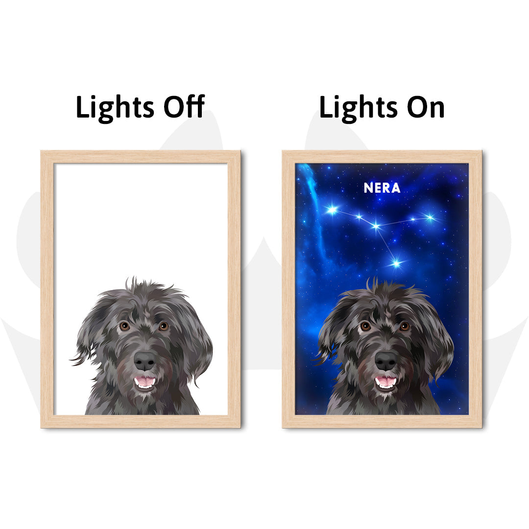 Constellation Pet Portrait LED Night Light