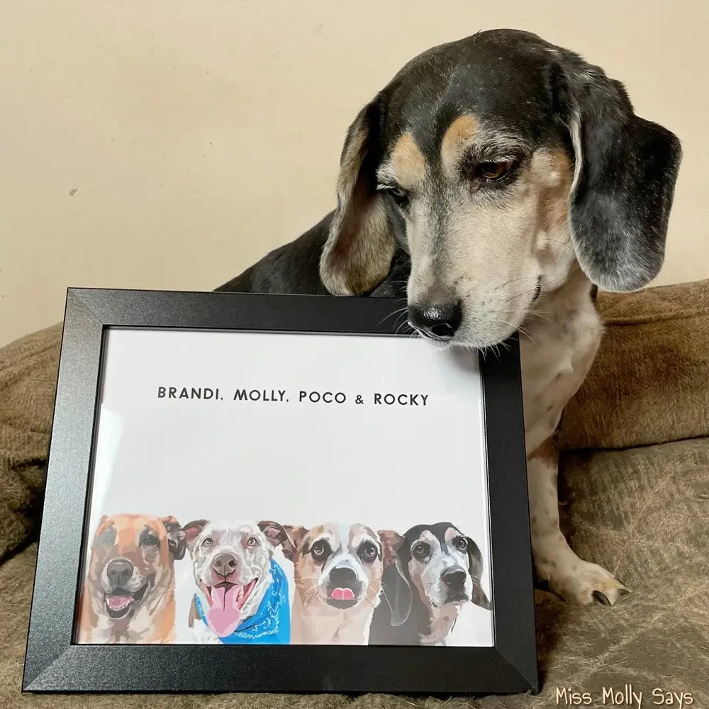 Modern Pet Portrait - Four Pets