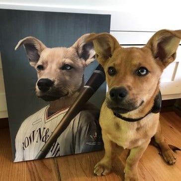 The Baseball Player - Custom Pet Canvas