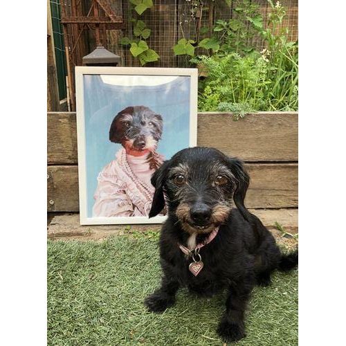 The Queen Regent - Custom Pet Poster