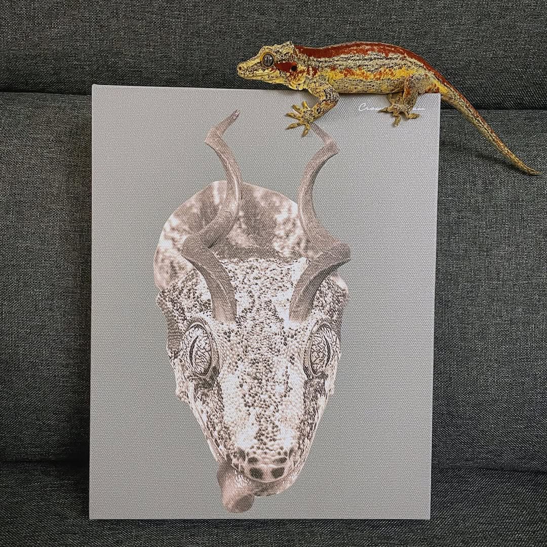 Pet With Antlers - Custom Canvas