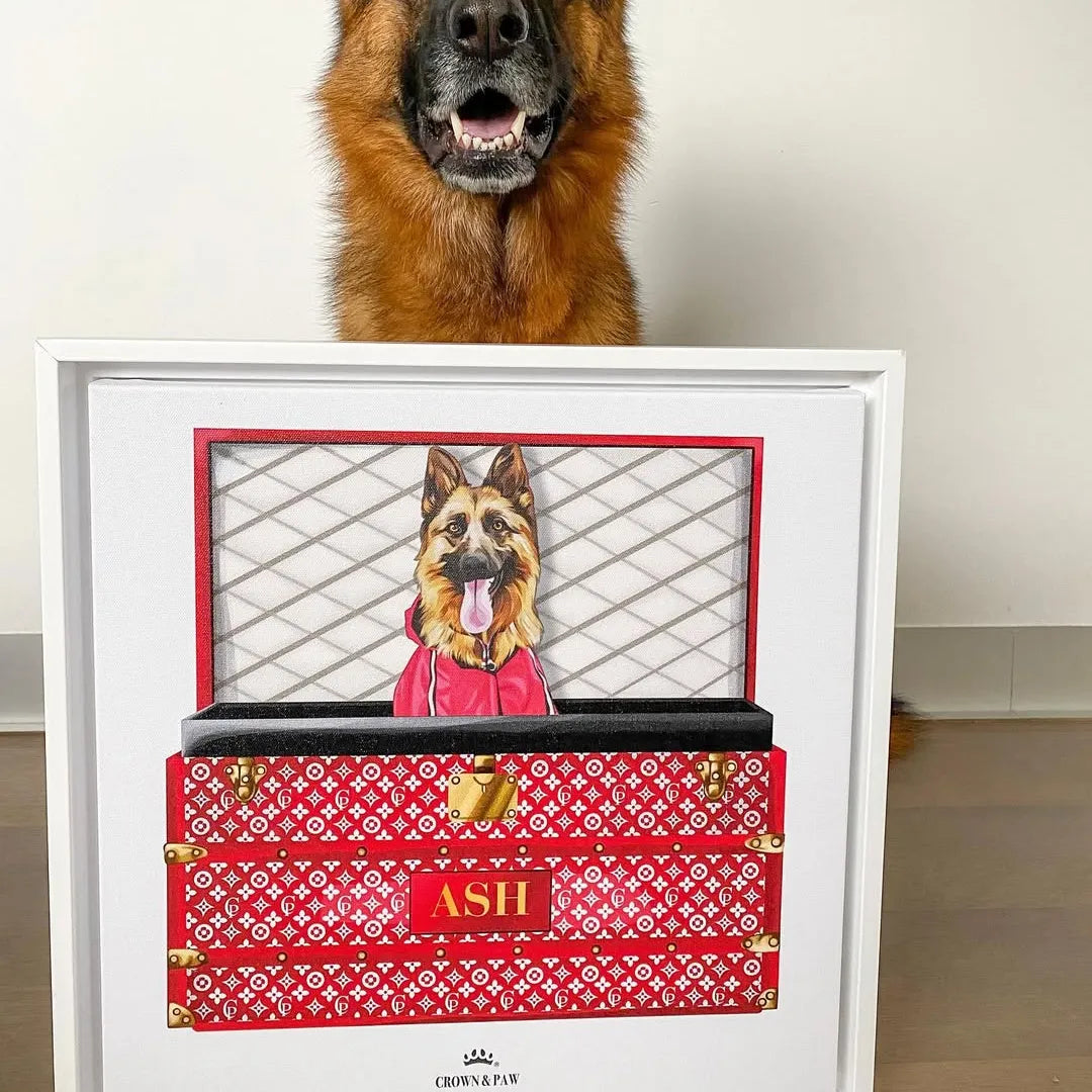Super Red Luxury Trunk Pet Portrait