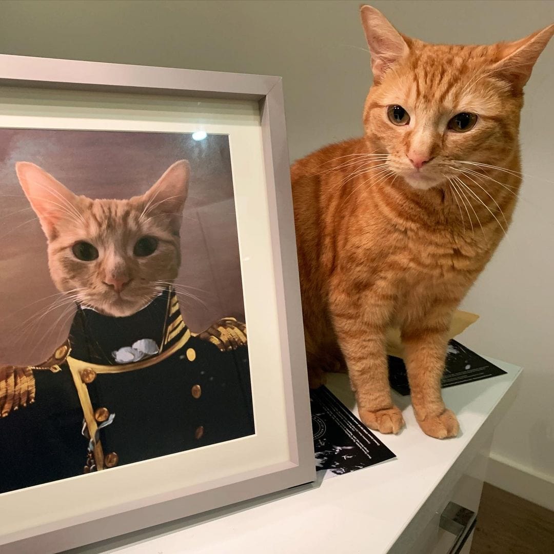 The Admiral - Custom Pet Poster