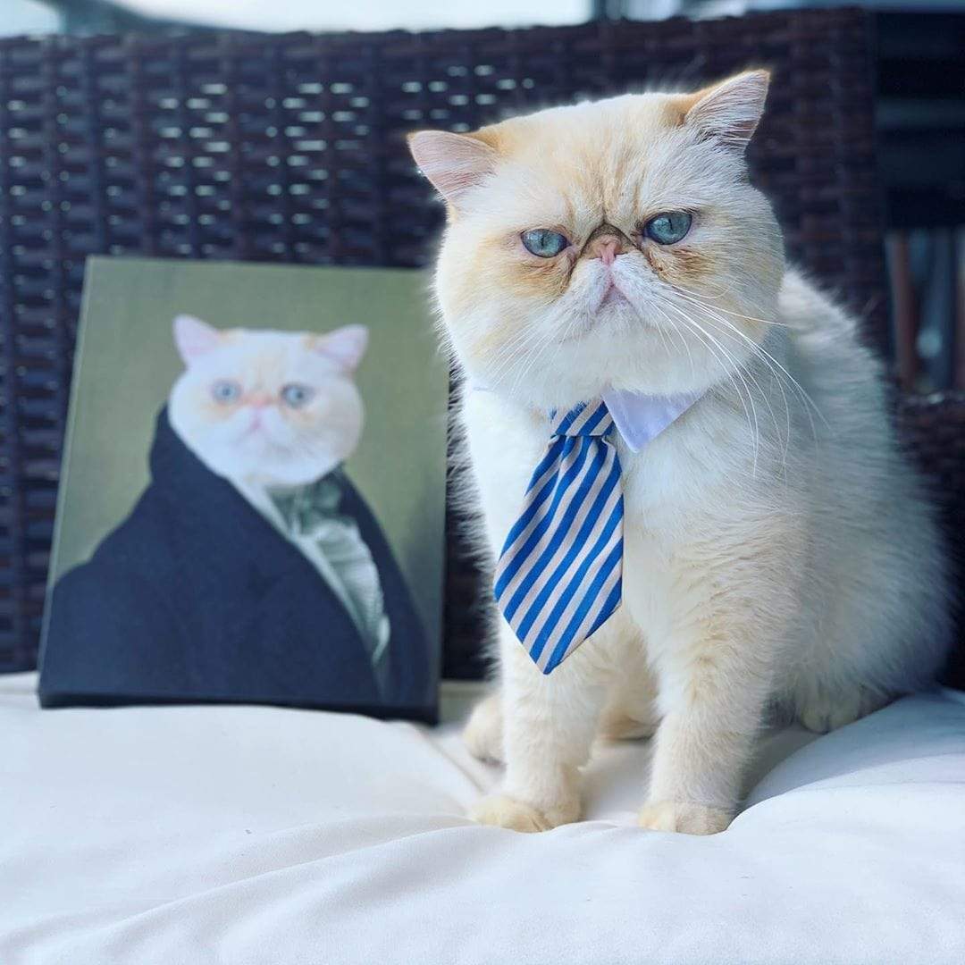 Custom Crown & Paw Portrait - One Pet