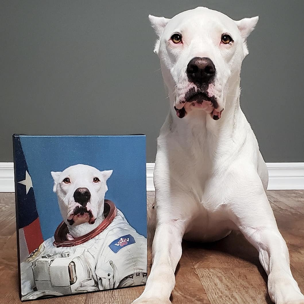 The Astronaut - Custom Pet Canvas