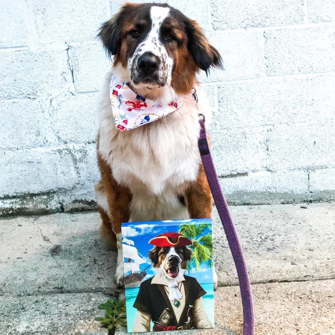 The Buccaneer - Custom Pet Canvas