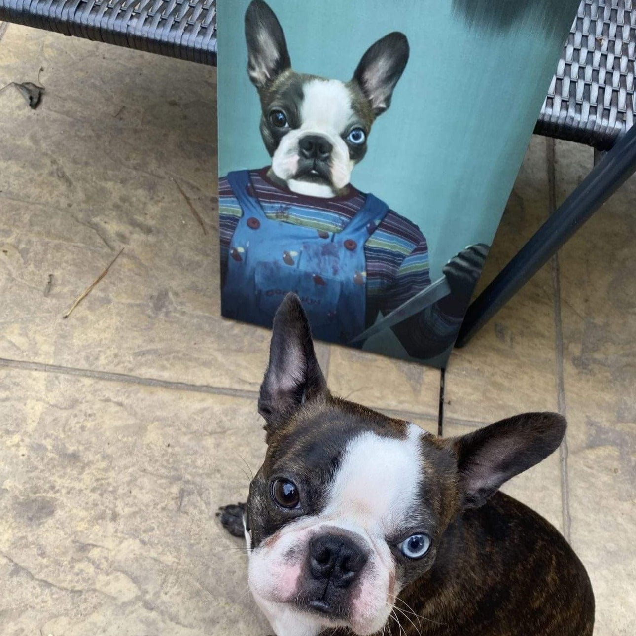 Custom Crown and Paw Halloween Pet Portrait