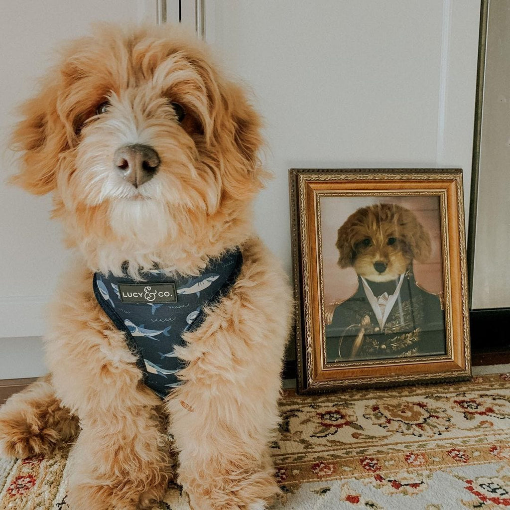 The General - Custom Pet Poster