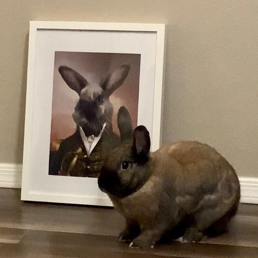 The General - Custom Pet Poster