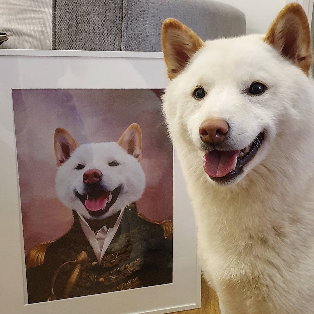The General - Custom Pet Poster