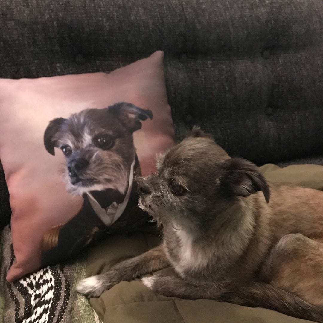 The General - Custom Throw Pillow