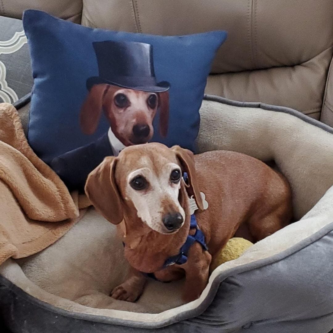 The Gentleman - Custom Throw Pillow
