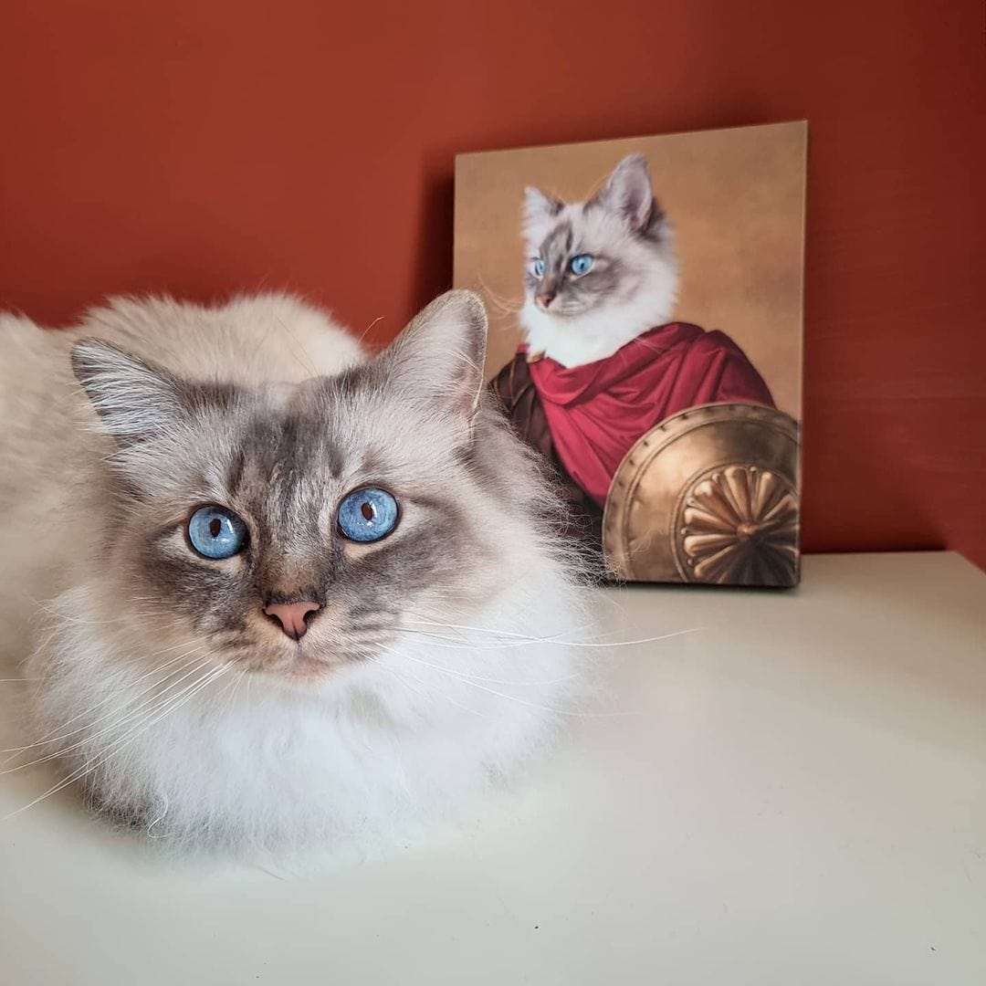 The Gladiator - Custom Pet Canvas