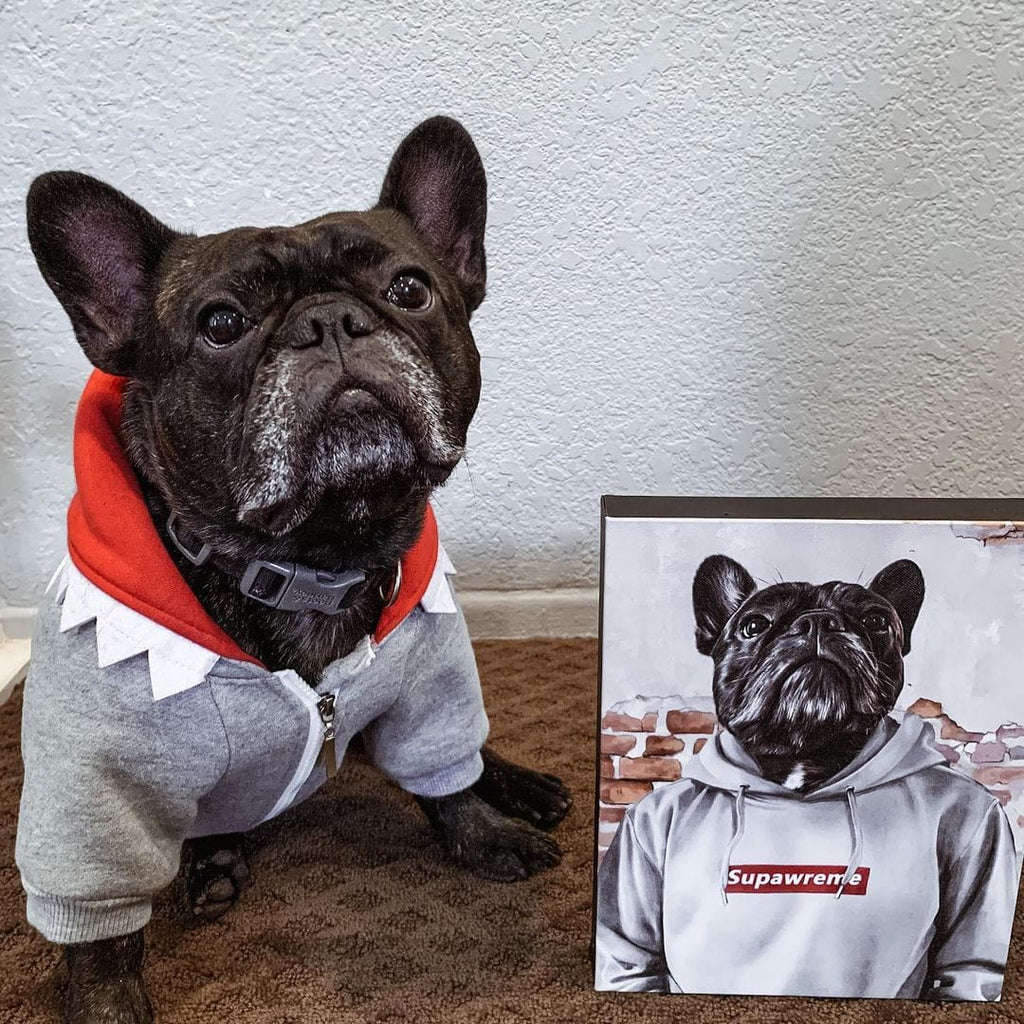 The Hypebeast - Custom Pet Canvas